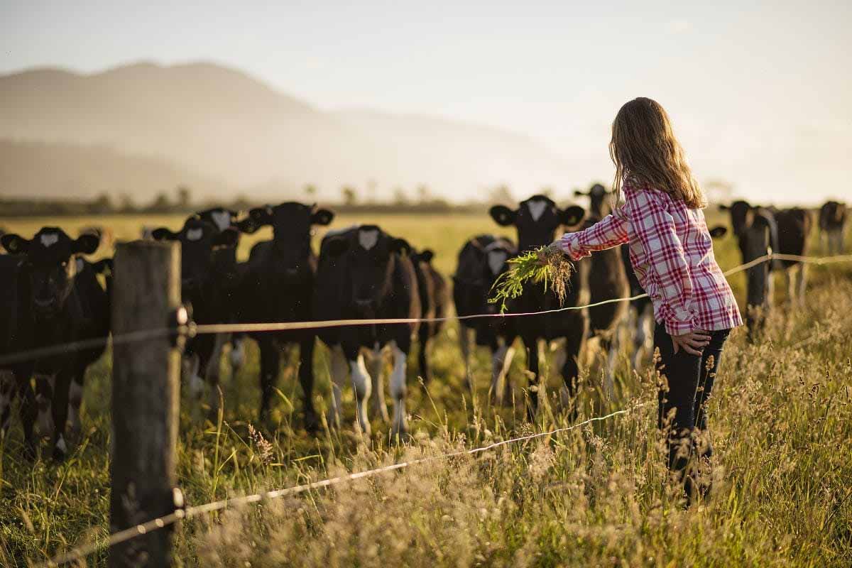 tips-for-farm-budgeting-and-planning-bnz