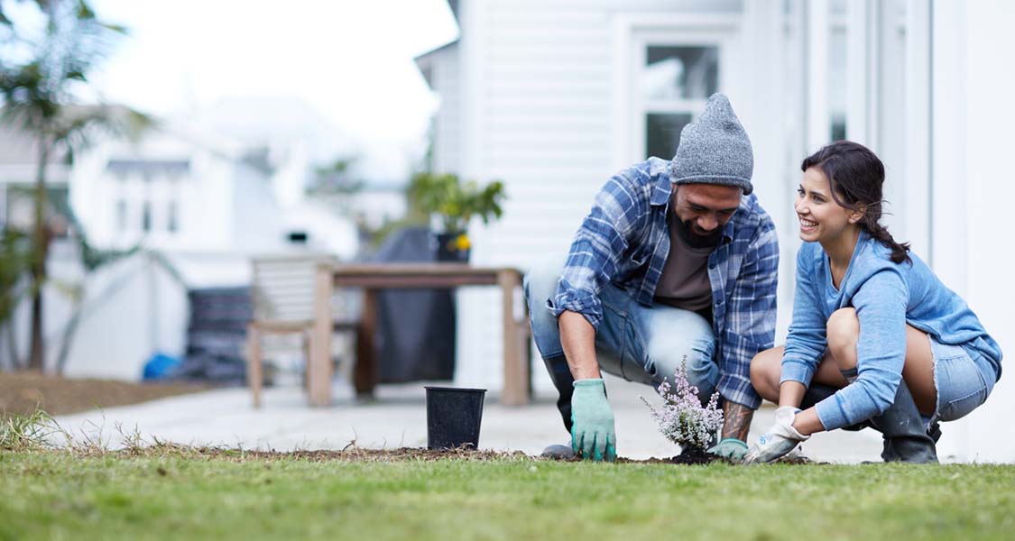 Bnz home deals loan rates